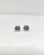 Classic 6-Claw Silver Earring